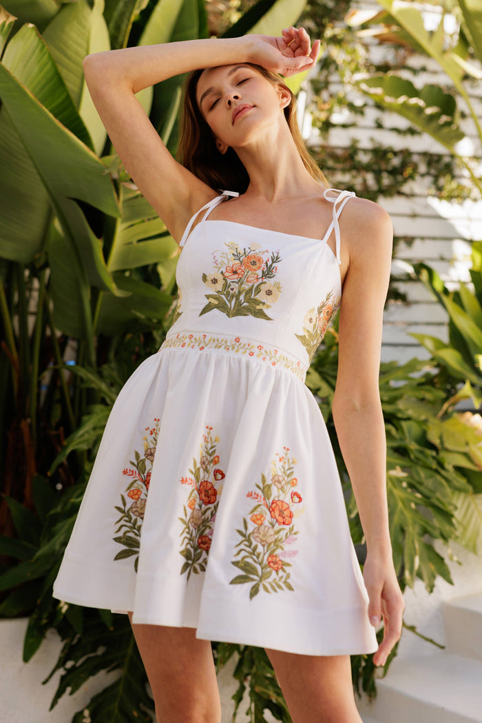 Alice Spring Embroidered Mini Dress