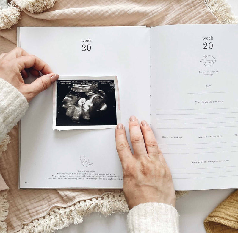 My Pregnancy Journal