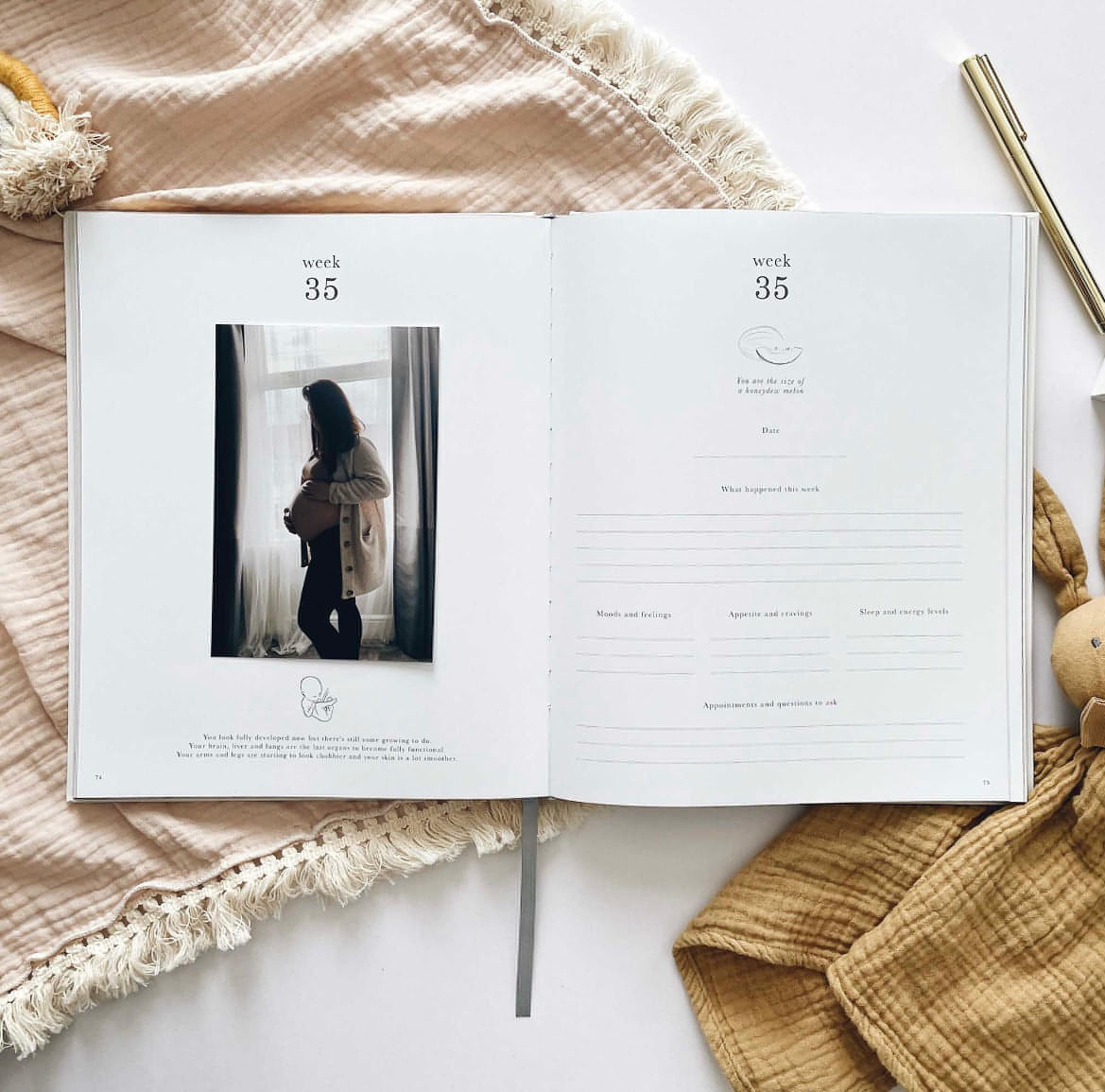 My Pregnancy Journal