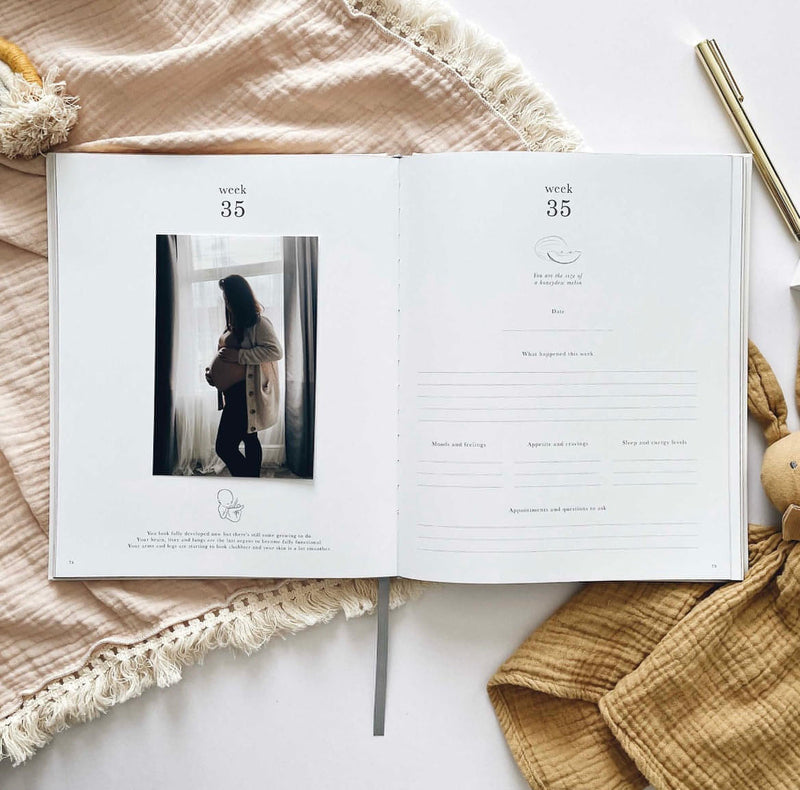 My Pregnancy Journal